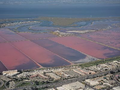 an overhead view of the salt flats in the south bay of San Francisco. the pools are rectangular and bright pink, with some dark swirls. in the distance is a marsh and the Bay, in the foreground are industrial buildings and a freeway